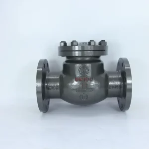Cast Steel Flanged Swing Check Valve Manual One-Way Stop Valve for Liquefied Gas