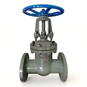 Cast Steel Gate Valve WCB PN25 PN40 Flanged OSY Rising Stem Carbon Material High Pressure Industrial Oil Gas Pipeline