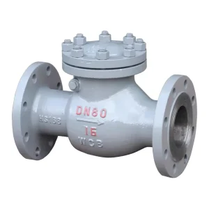 Cast Steel WCB Flange Swing Check Valve SS Non-return Valve