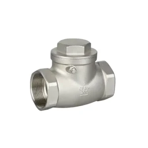 Casting 304 Stainless Steel Horizontal Check Valve Internal Thread Swing Corrosion Resistant Shutoff Water Non Return Valve
