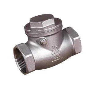 Casting 304 Stainless Steel Horizontal Check Valve Internal Thread Swing Corrosion Resistant Shutoff Water Non Return Valve
