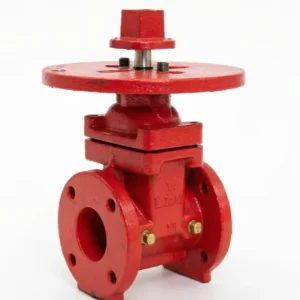 Casting Iron 2 12 inch Gate Valve Resilient Wedge NRS Gate Valve Flanged End Ductile Iron Casting Steel Valve