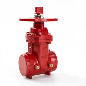 Casting Iron 2 12 inch Gate Valve Resilient Wedge NRS Gate Valve Grooved End Ductile Iron Casting Steel Valve
