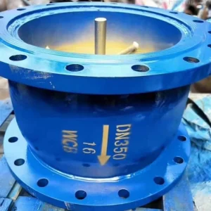 Check Valve 316L Stainless Steel 2 Inch Class 150 Wafer Spring Loaded