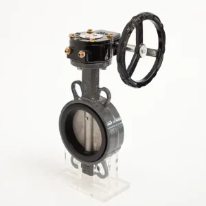 Chemical Industry Manual Power DN100 Gost Wafer Worm Gear Butterfly Valve