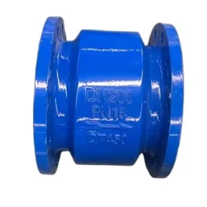 China Factory Customized Size Quick Silencing Check Valve for Water System