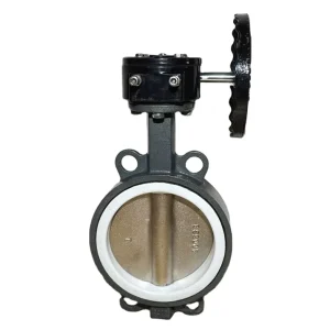 China Factory DF810-Cd-W Carbon Steel Short Wafer Type Soft Sealing Center Lined Worm Wheel Butterfly Valve