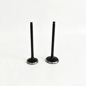China Factory Intake Valves Exhaust Valves 13711 50060 13715 50070 Engine Valves Fit for Toyota 2UZ Engine Spare Parts