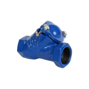 China Supplier Ductile Iron Non Return Screwed Check Valve Threaded End Ball Check Valve