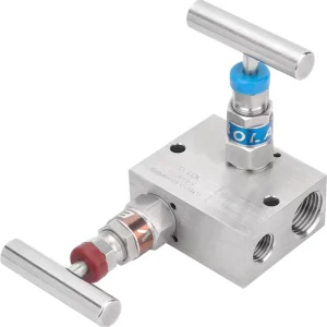 China Supplier High Pressure Two-Valve Manifolds Manual Needle Structure Gas Stainless Steel High Temperature for Type