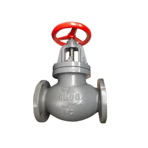 China Supplier JIS F7353 Cast Iron 5k Screw down Check Globe Valves Marine Daily Water Normal Temperature Manual Stop Valve