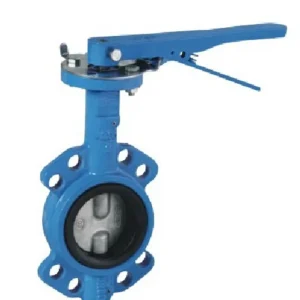 China Wholesaler EN 593 PN10 PN16 CLASS125 Diuble Shaft Butterfly Valve