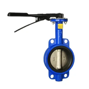 Chinese Butterfly Valve Supplier PN16 Ductile Cast Iron 2 Inch Butterfly Valve