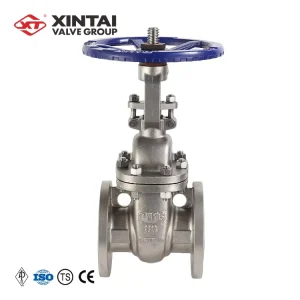 Chinese Manufacture Factory Prices Rising Manual 2 Inch Water Gate Valve