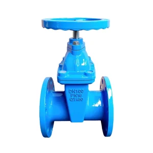Chinese Manufacturer WRAS Certified Non Rising Stem Gate Valve 2Cr13 Stainless Steel Stem Gate Valve for Clear Water