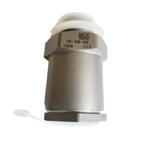 Common Rail Pressure Limiting Valve Reducing Valve 1110010008 for TGA TGS Engines