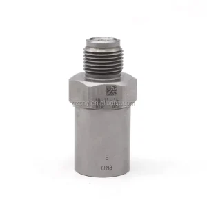 Common Rail Pressure Relief Valve 1110010020 1110010021