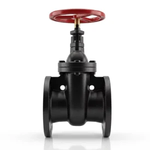 Compact Manual Ductile Iron Safety Gate Valve for Water Supply Drainage with 1 Year Warranty