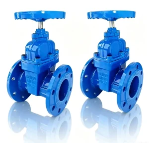 Compliant German British Chinese Standards Flange Gate Valves for Water Manual Operation 2in-24in Port Size Elastic Seat Metal