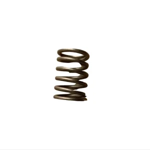 Construction Machinery Engine Parts Valve Inner and Outer Springs 01222051