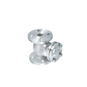 Control Oil Gas Cf8 Low Pressure 1in Stainless Steel Water Check Valve
