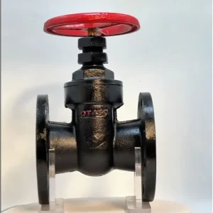 Corrosion Proof Copper Core Ductile Iron Manual Shutoff Gate Valve for Industrial Wastewater Treatment Temperature 1in 8in Port