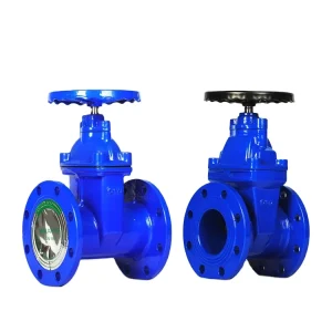 Corrosion Protection BS5163 Ductile Iron Double Flanged Resilient Seat Gate Valves
