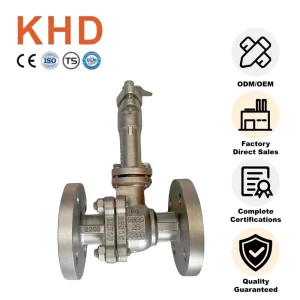 Corrosion Resistant 2205 Duplex Stainless Steel Flanged Ball Valve Extended Stem DN25 Manual Industrial Isolation Valve