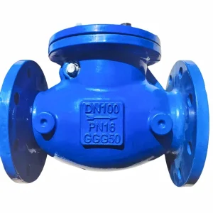 Corrosion Resistant High Temperature Swing Check Valve for Water Air Oil Gas Liquid