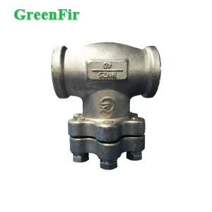 Cryogenic Check Valve