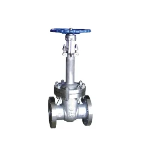 Cryogenic Gate Valve Chinese Manufacturer for Industry