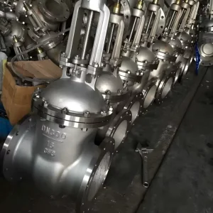 Cryogenic Stainless Gate Valve 304L Extended Bonnet 196℃ Bolted Cover LNG Storage Tank