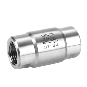 Custom 316 1/2 Inch NPT Stainless Steel Vertical Check Valve