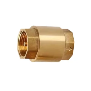 Custom Brass Check Valve Durable Spring Design for Water Steam Applications Check Valve Ball Valve Manufacturer