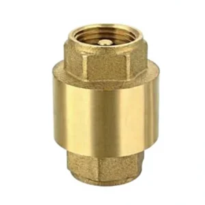 Custom Durable Brass One Way Vertical Spring Non Return Valve High Pressure Copper Check Valve
