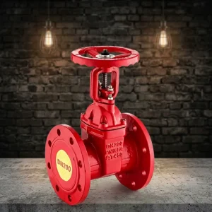 Custom Fire Equipment DN200 Ductile Iron QT450 Fire Gate Valve for Emergency Response