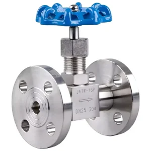 Custom High Pressure Manual Stainless Steel Flange Needle Valve J41W 16P DN10 DN50 for Water Gas Oil