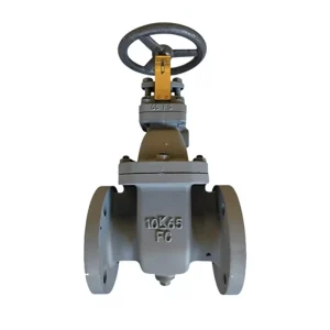 Custom Marine Gate Valve JIS Cast Iron F7364 10K Marine Valve Made in China