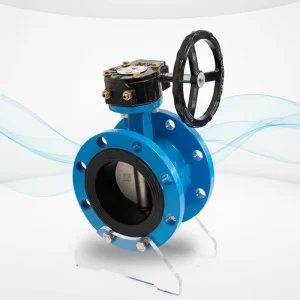Customizable Flanged Worm Gear Manual Water Valve Butterfly for General Application