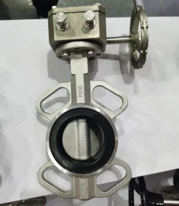 Customizable Gear Operated Wafer SS Butterfly Valve Made to Order Size Pressure Seal Material Non Standard Valve Expert