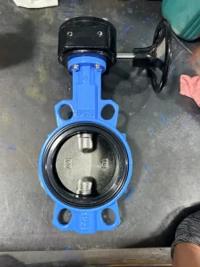 Customizable Manual Worm Gear Centerline Butterfly Valve SS316 Model DN50-DN600 Port Size Water System Normal