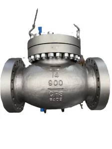 Customizable Sizes Socket Weld End Check Valve for Power Plant High Pressure Feed Water System