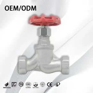 Customizable Stainless Steel 304 316L Manual Globe Valve for Water Shutoff and Flow Control with Threaded Connections