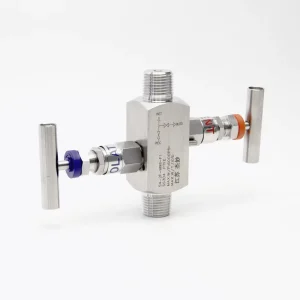 Customized 1/2NPT(M)-1/2NPT(F) High Temperature Resistance Stainless Steel Needle Manual Double Valve Group Pressure Gauge
