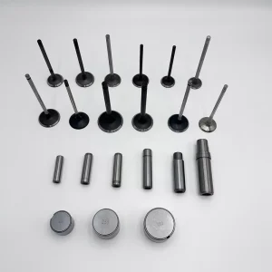 Customized Car Engine Valve Guide 13212AA130 13213AA120 Fit for Subaru 2.0 Engine Valve Stem Guides Spare Parts