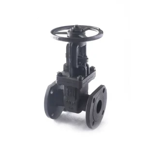 Customized GOST Z41H 16C Carbon Steel Gate Valve DN50~DN300 Flange End Low High Medium Normal Temp Industrial Gate Valve