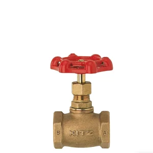 Customized Manual Bronze Globe Valves for Water Gas Oil Control Screwed Bonnet Ends Model A OEM Customizable