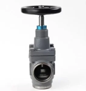 Customized Steel Globe Valve for Gas Shutoff with Cryogenic Liquid Application