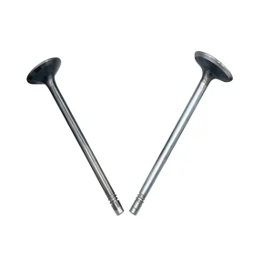 Cylinder Head Engine Valves F4J16-1007011 F4J16-1007012 SQRF4J16 1.6T Auto Spare Parts
