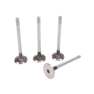 D30 1003103B Exhaust Valve for Yuchai Engine Diesel Engine Parts